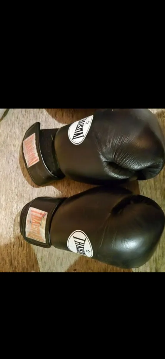 Mma/muay Thai - Image 2