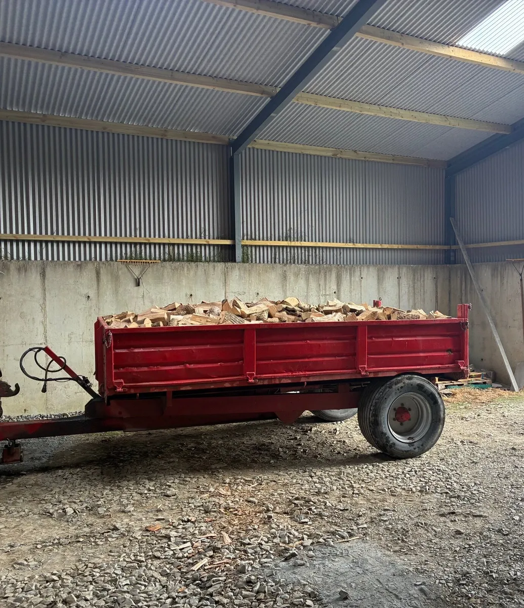 Ash firewood - Image 3