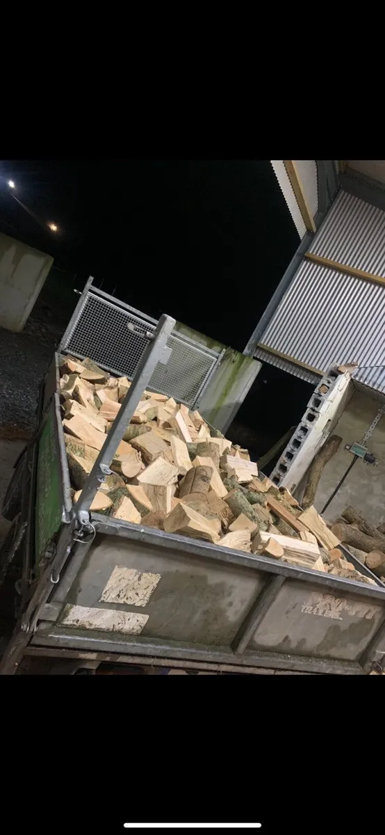 Ash firewood - Image 2