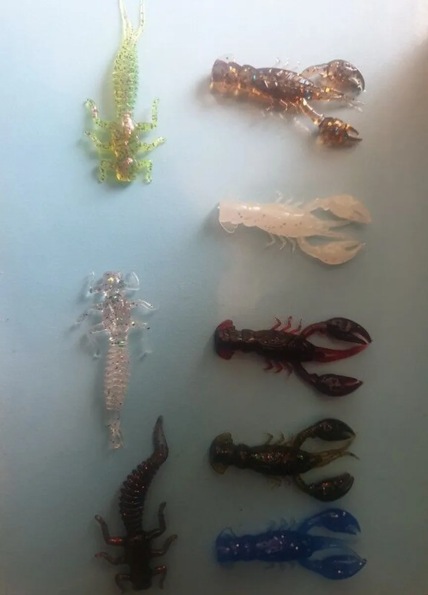 fishing - Image 3