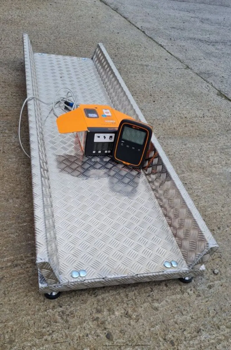CUSTUM MADE SCALES - Image 1