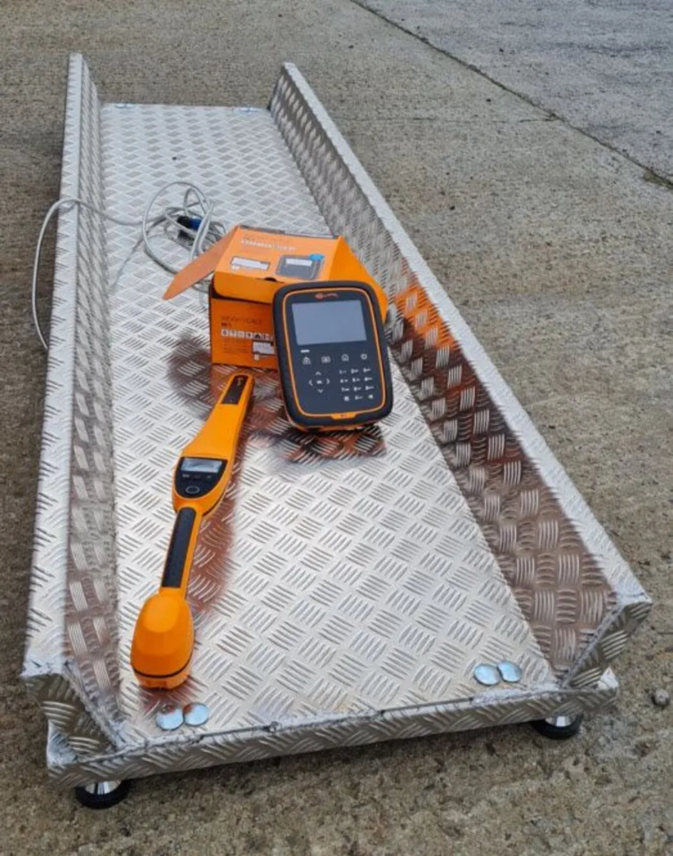 CUSTUM MADE SCALES - Image 2