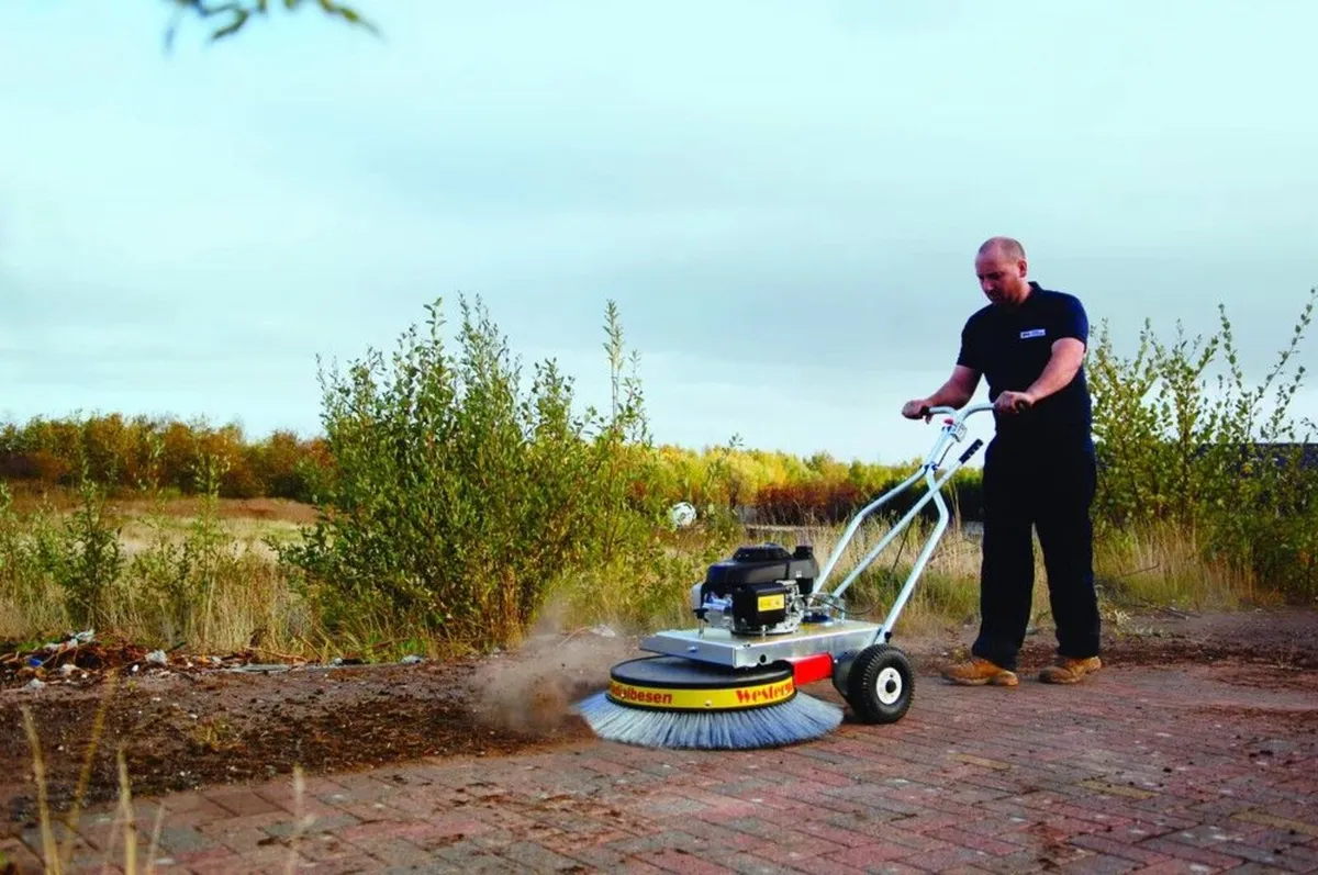Westermann WR870 Moss Brush - Image 1