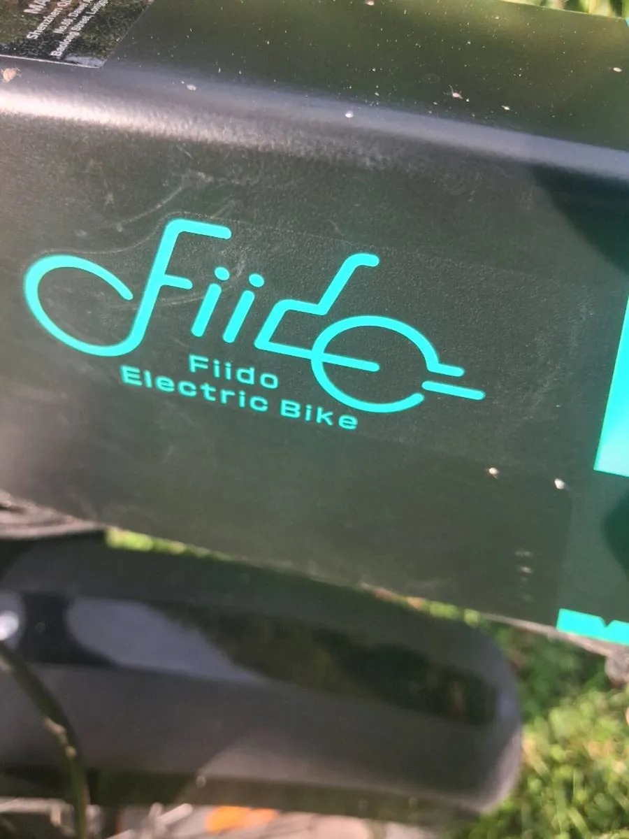 Electric bike - Image 2