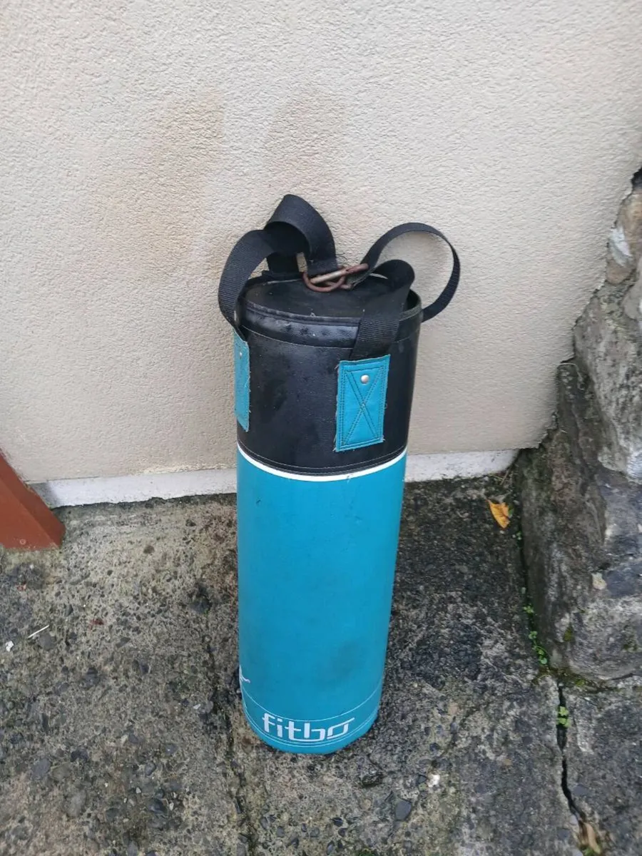 Punching bag - Image 1