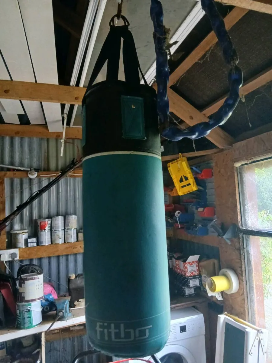 Punching bag - Image 2