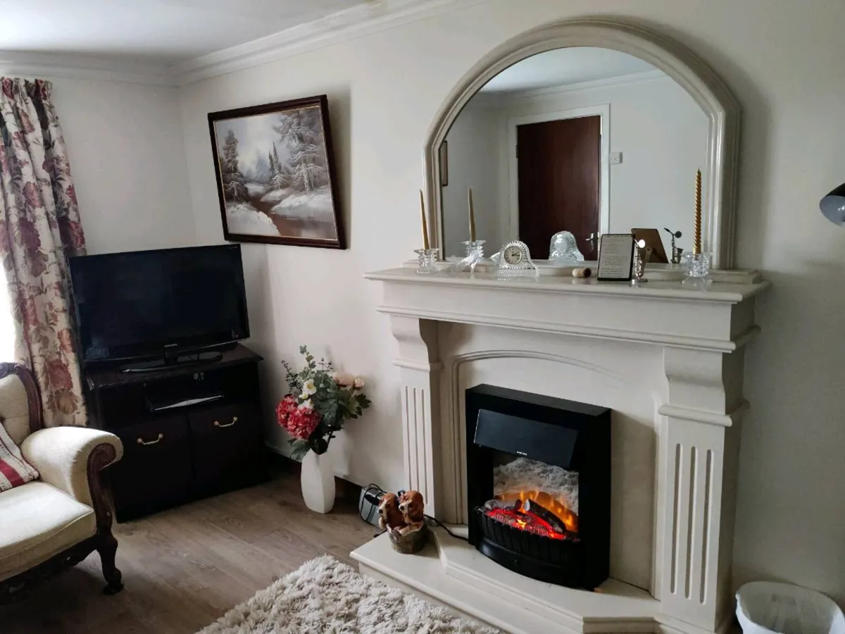 Marble fireplace - Image 2