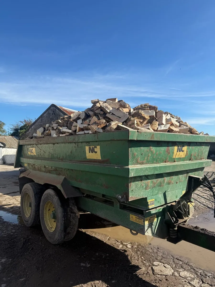 Firewood - Image 2