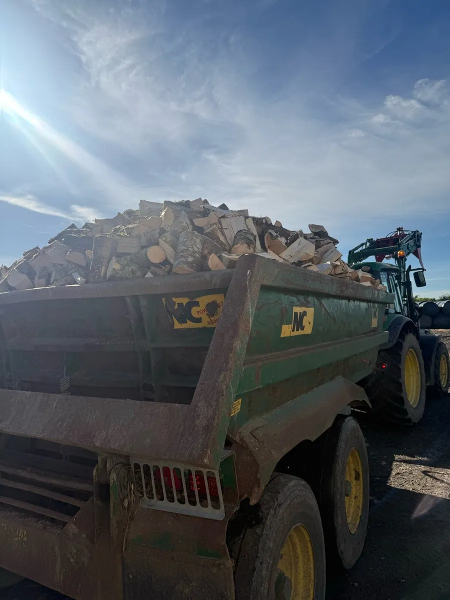 Firewood - Image 3