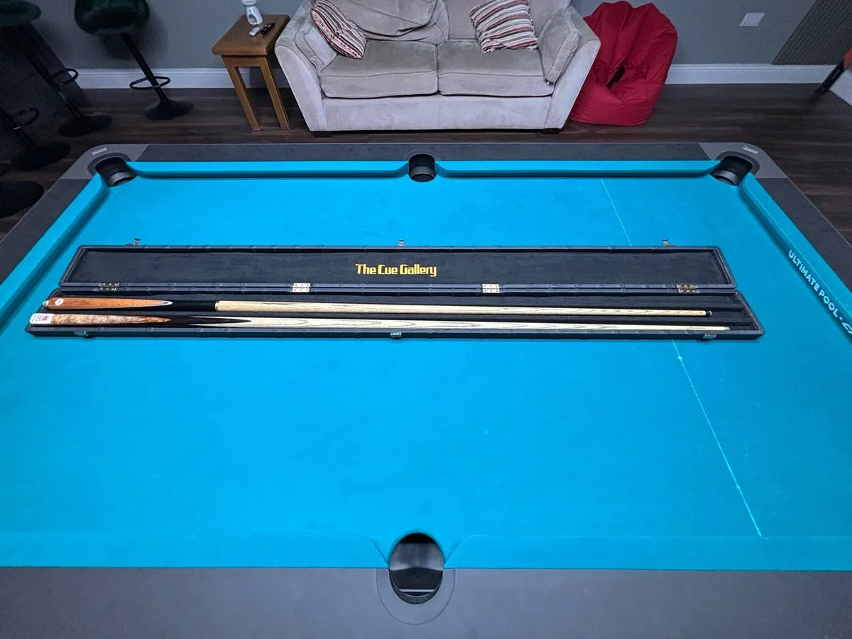 Cue case and 2 cues for sale - Image 1