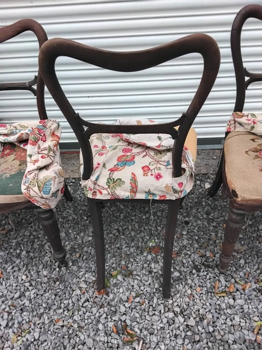 Dining Chairs - Image 2