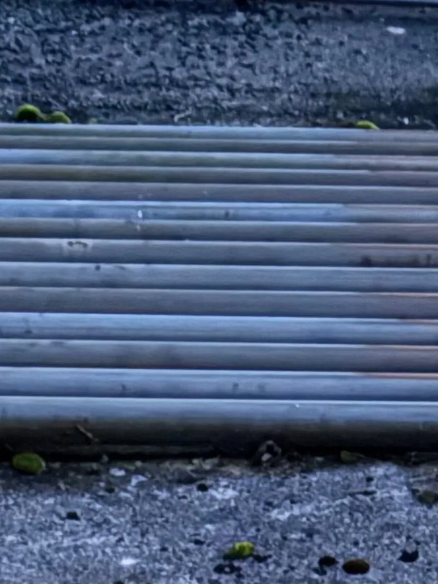 Cattle grid - Image 1