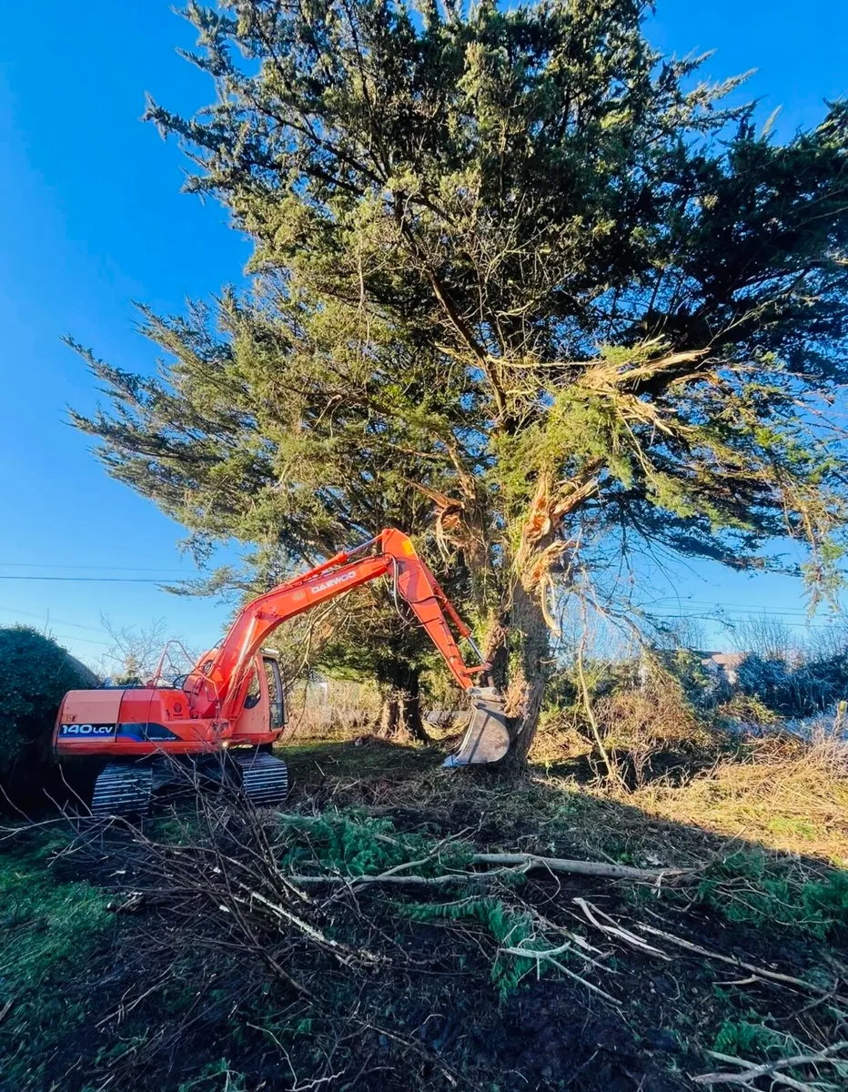 Hedge cutting & Tree Removals (tractor&digger) - Image 3