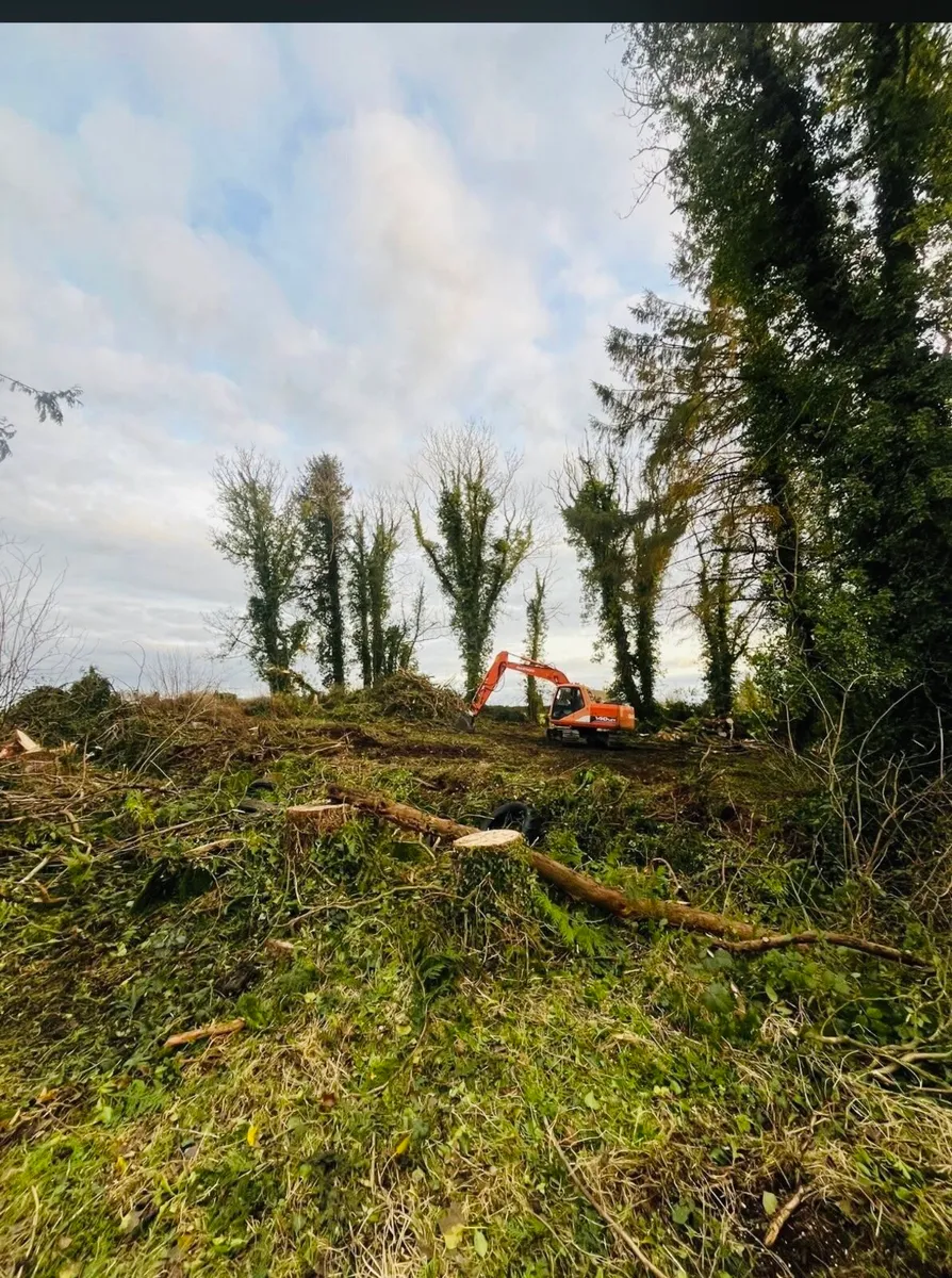 Hedge cutting & Tree Removals (tractor&digger) - Image 4