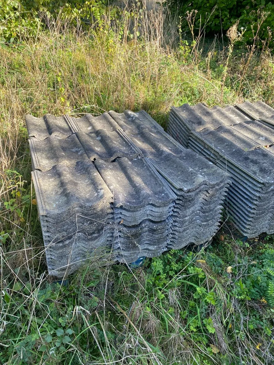 Roof tiles - Image 4