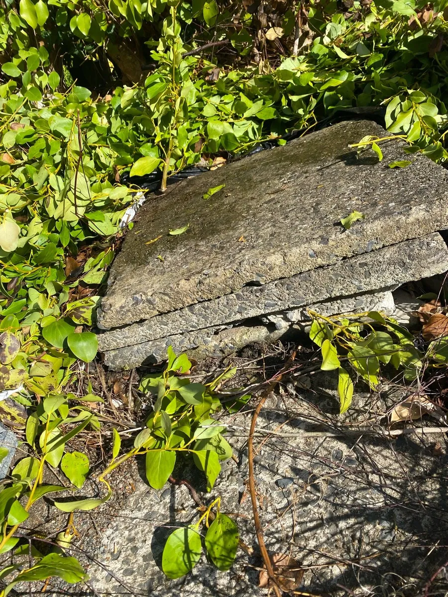Concrete Slabs - Image 2