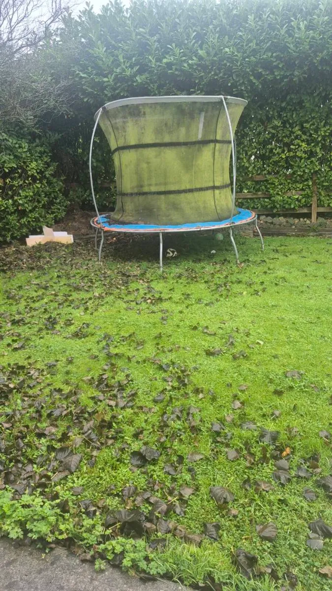 Trampoline - Image 2