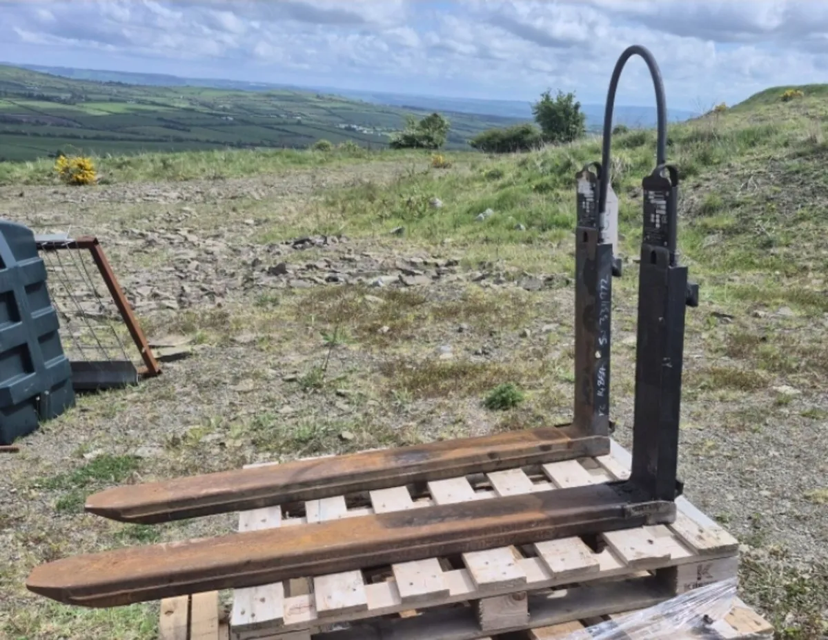 Telescopic extending fallet tines - Image 3
