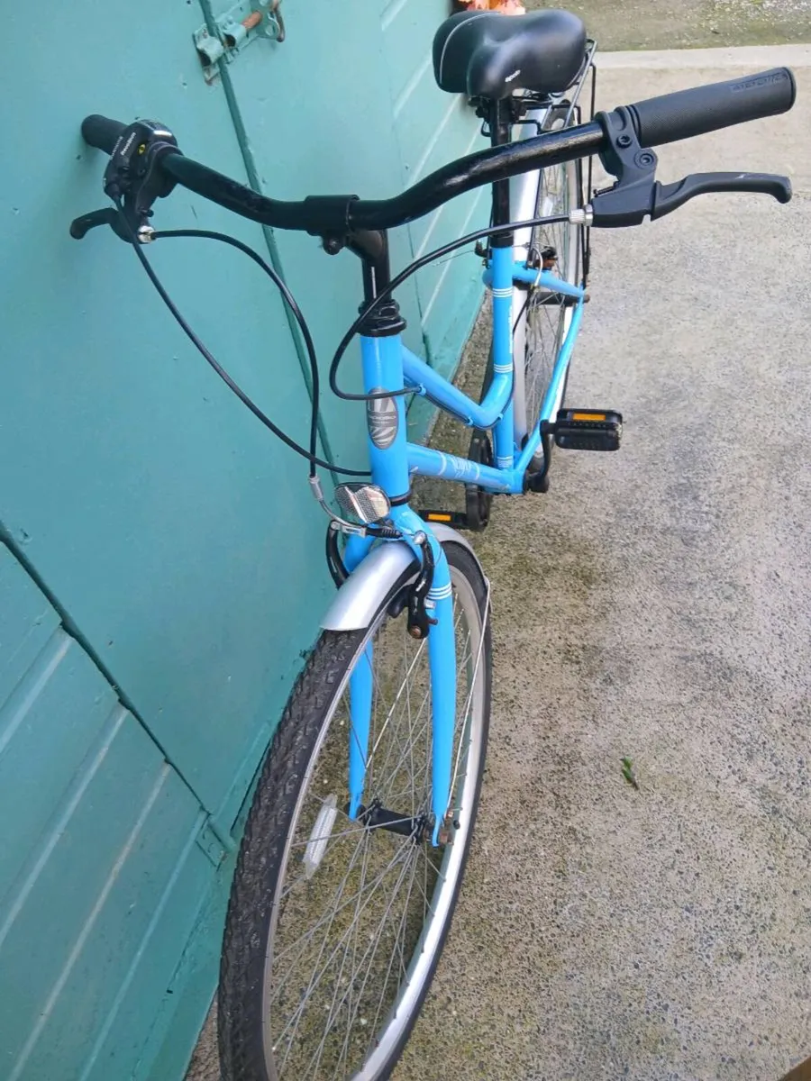 Adult Bike - Image 2