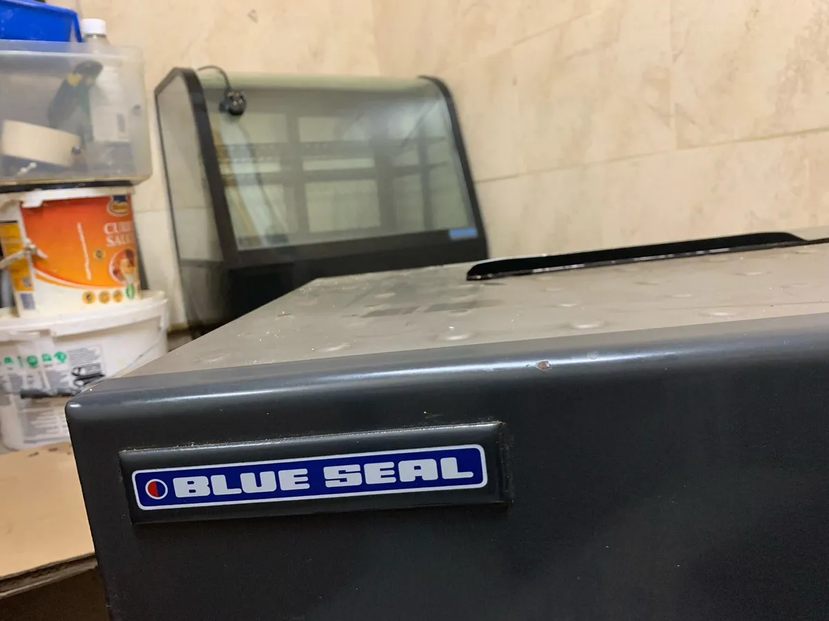 Salmander Grill Gas - Image 2
