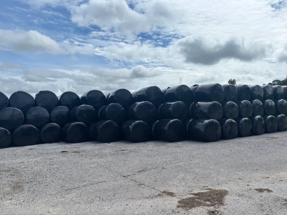Silage bales