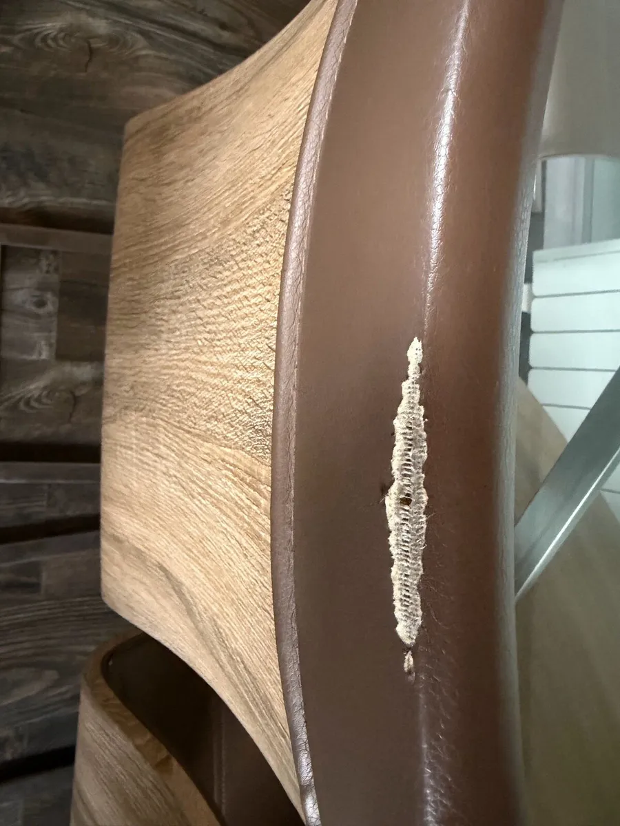 Stunning table and 6 chairs - Image 4