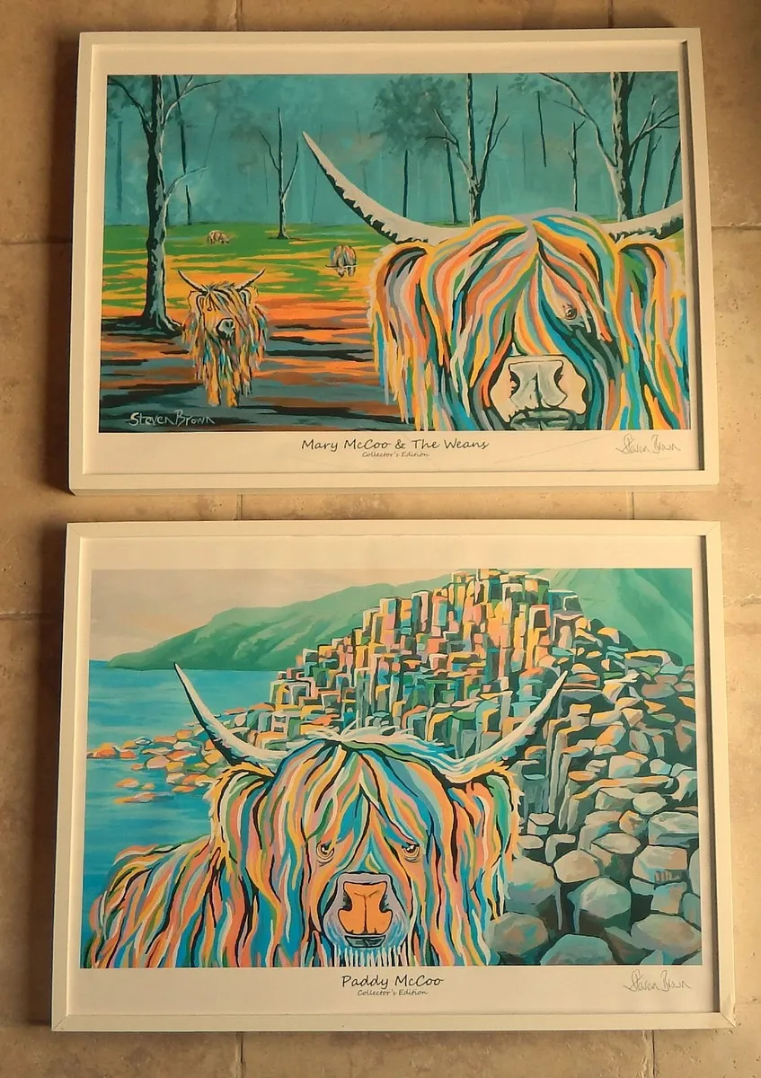 Pair of Large Stephen Brown Framed Prints - Image 1