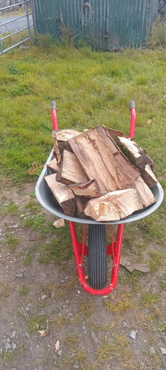 Bags of firewood - Image 2