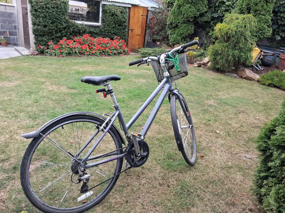 Lady's Adult Bicycle