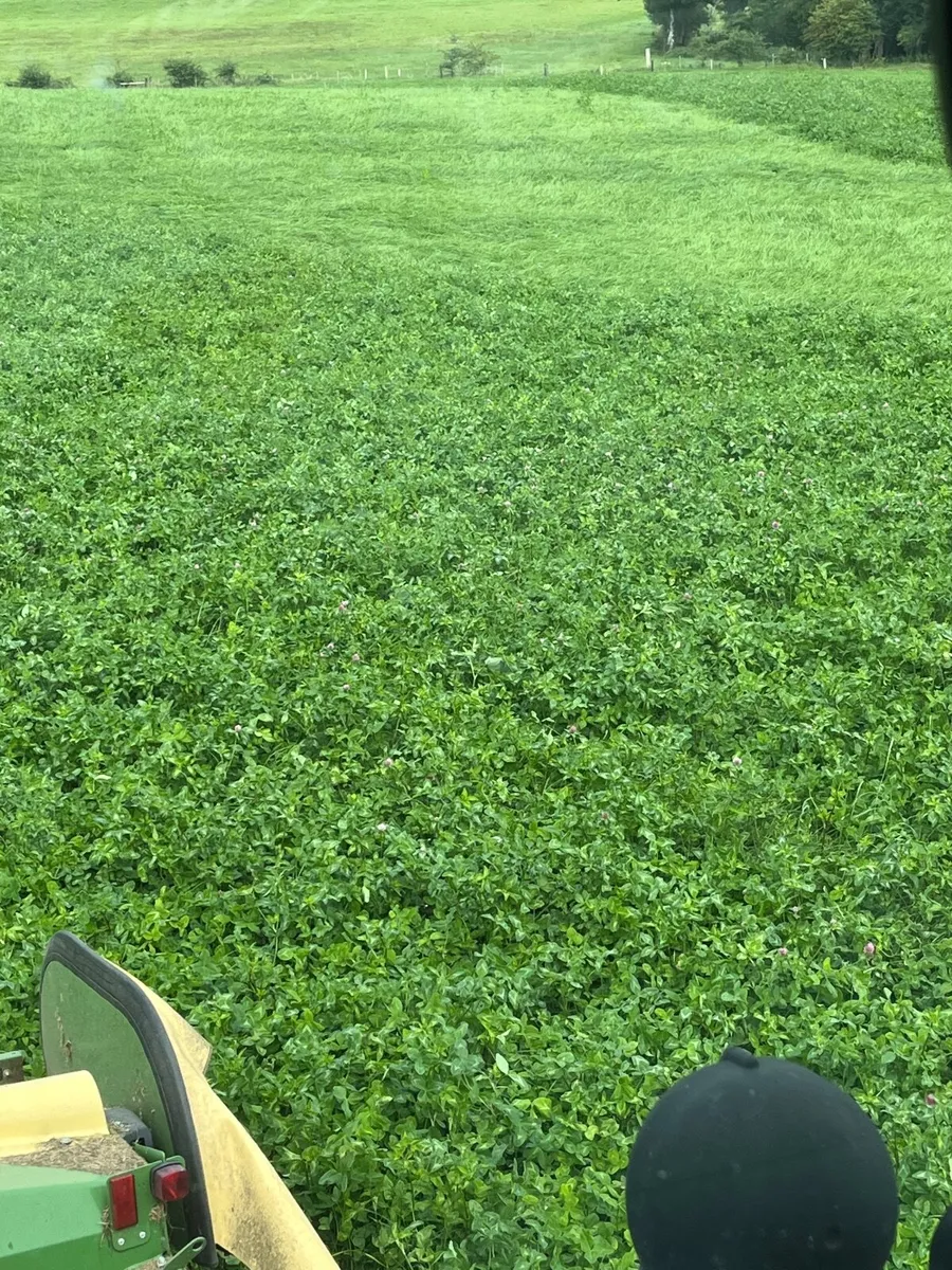 Silage and silage bales