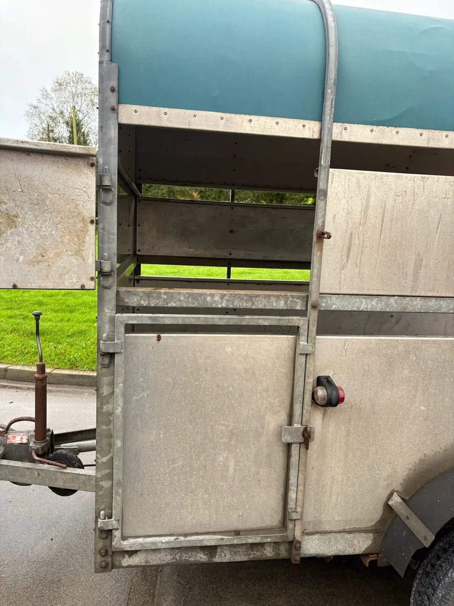 Crooks 10x5’6 livestock tailer - Image 4