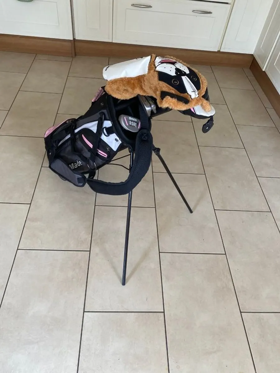 Taylormade Rory McElroy Pink Kids Golf set - Image 3