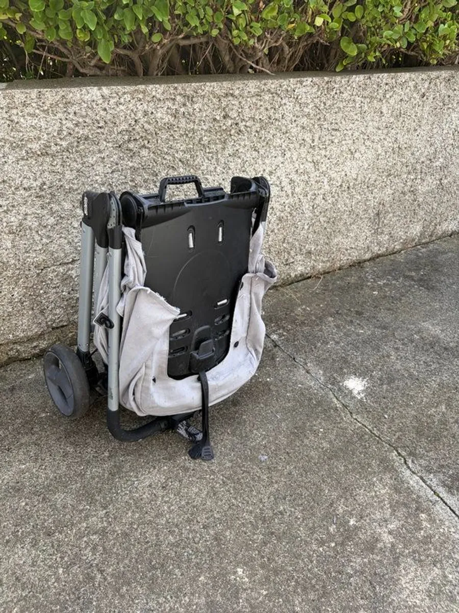 Travelling Buggy - Armadillo - Image 1