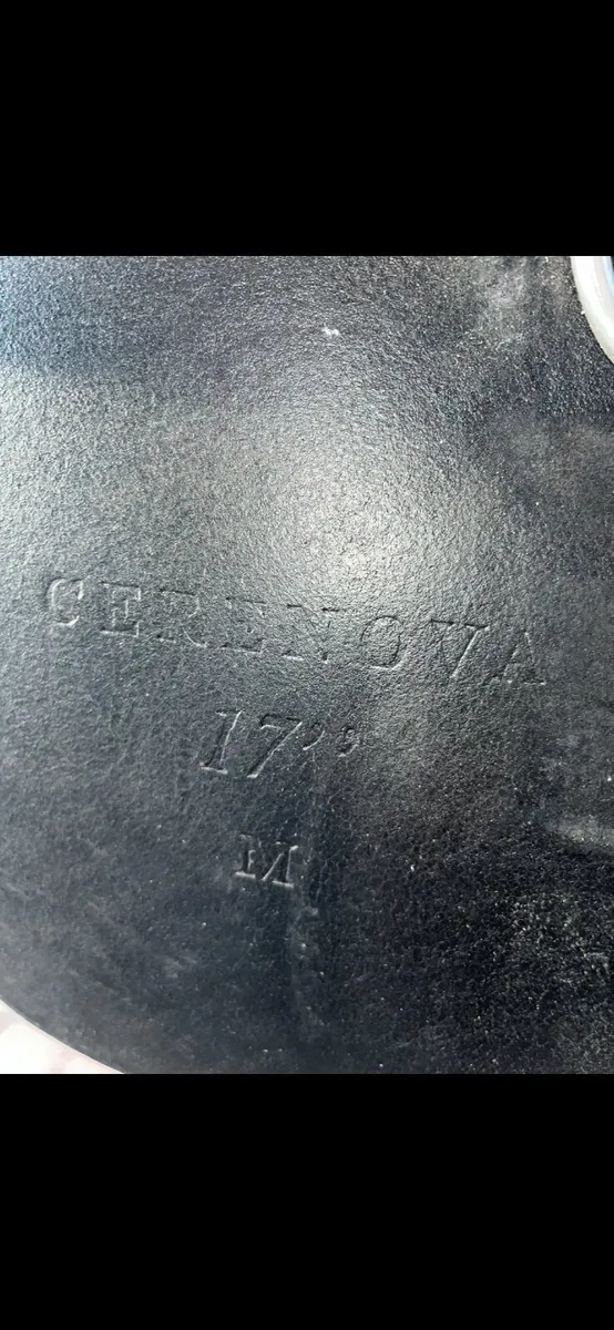 Saddle - Image 3