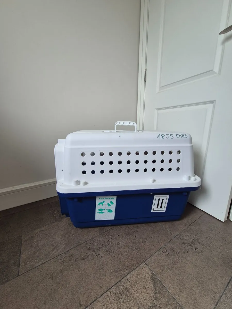 Pet Carrier Airline Approved - Large - Image 2