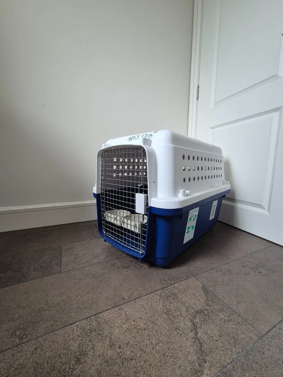 Pet Carrier Airline Approved - Large - Image 1