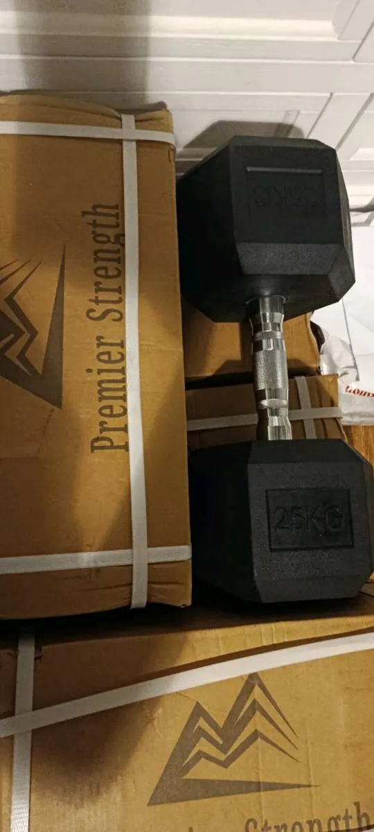 Dumbbells 20-30kg - Image 1