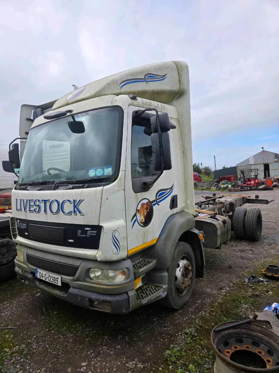 Daf LF55 - Image 1
