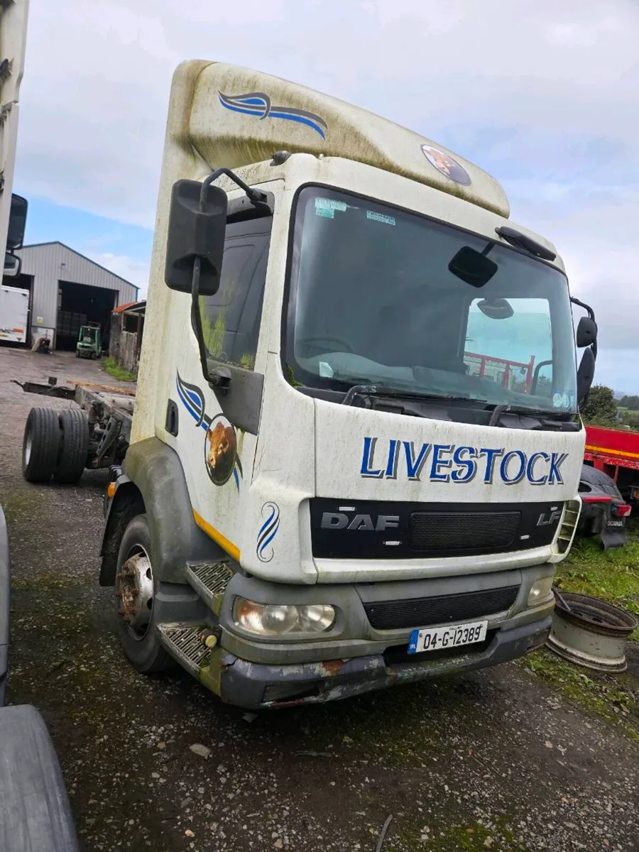 Daf LF55 - Image 2