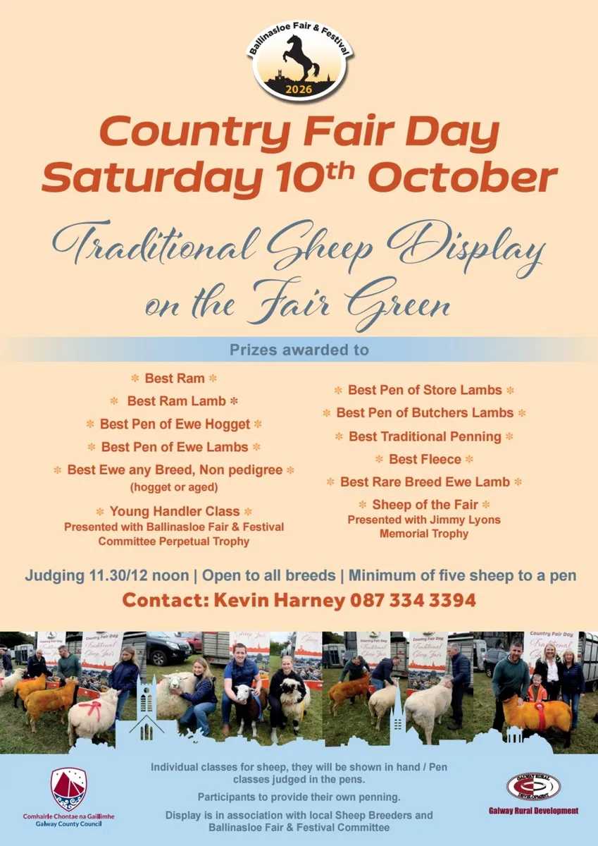 Ballinasloe Sheep Fair