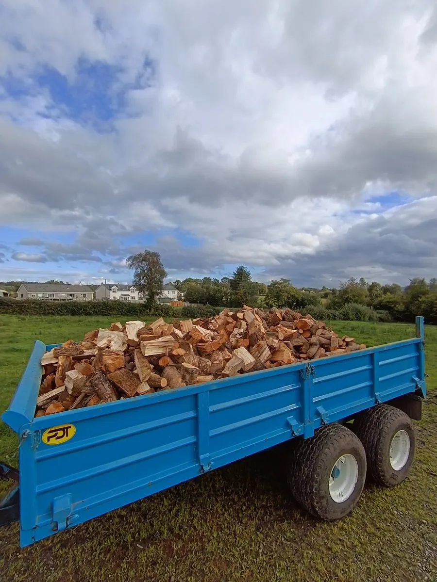 QUALITY SEASONED FIREWOOD FOR SALE - Image 1