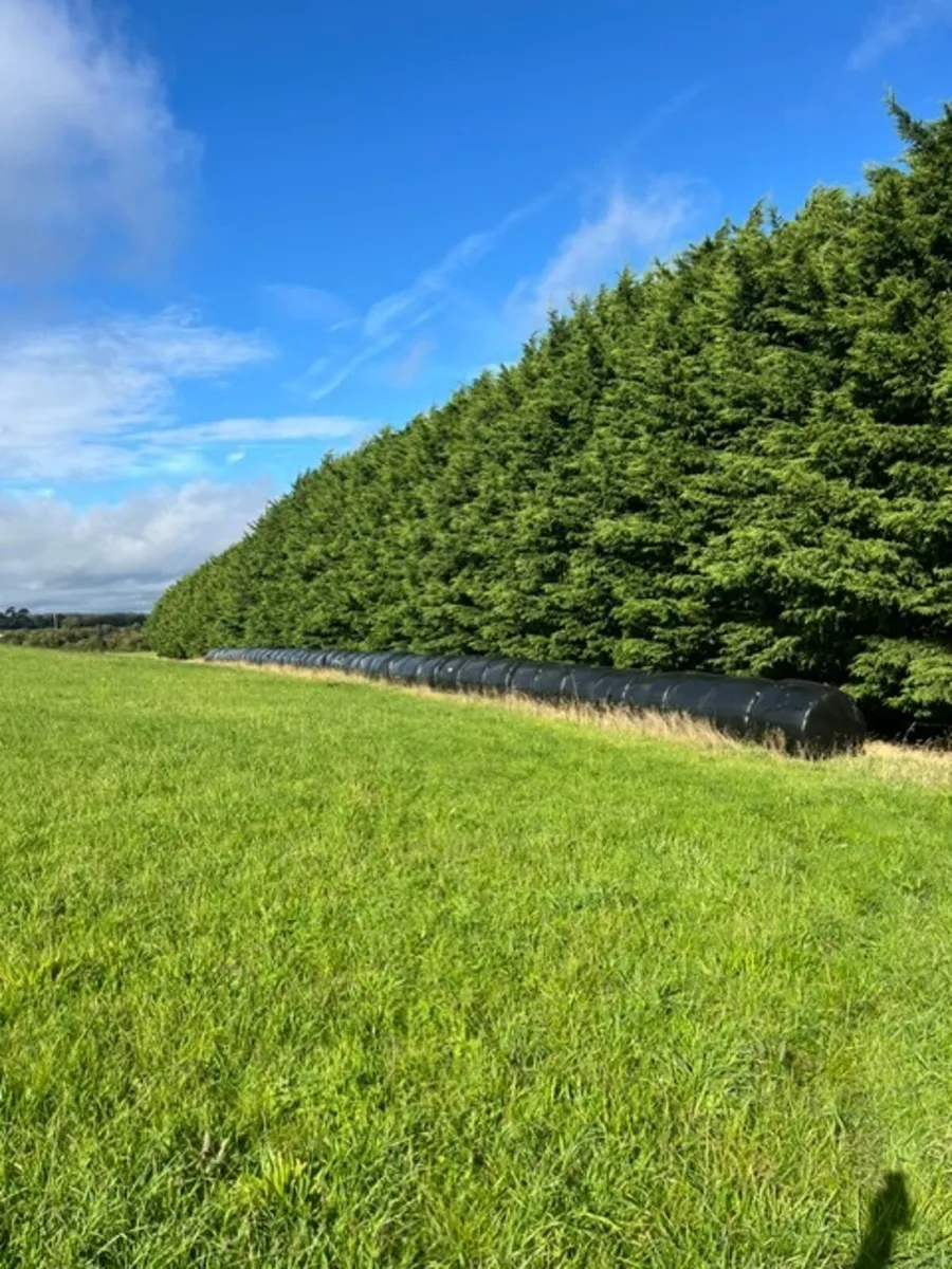 44 silage bales north county Dublin €30