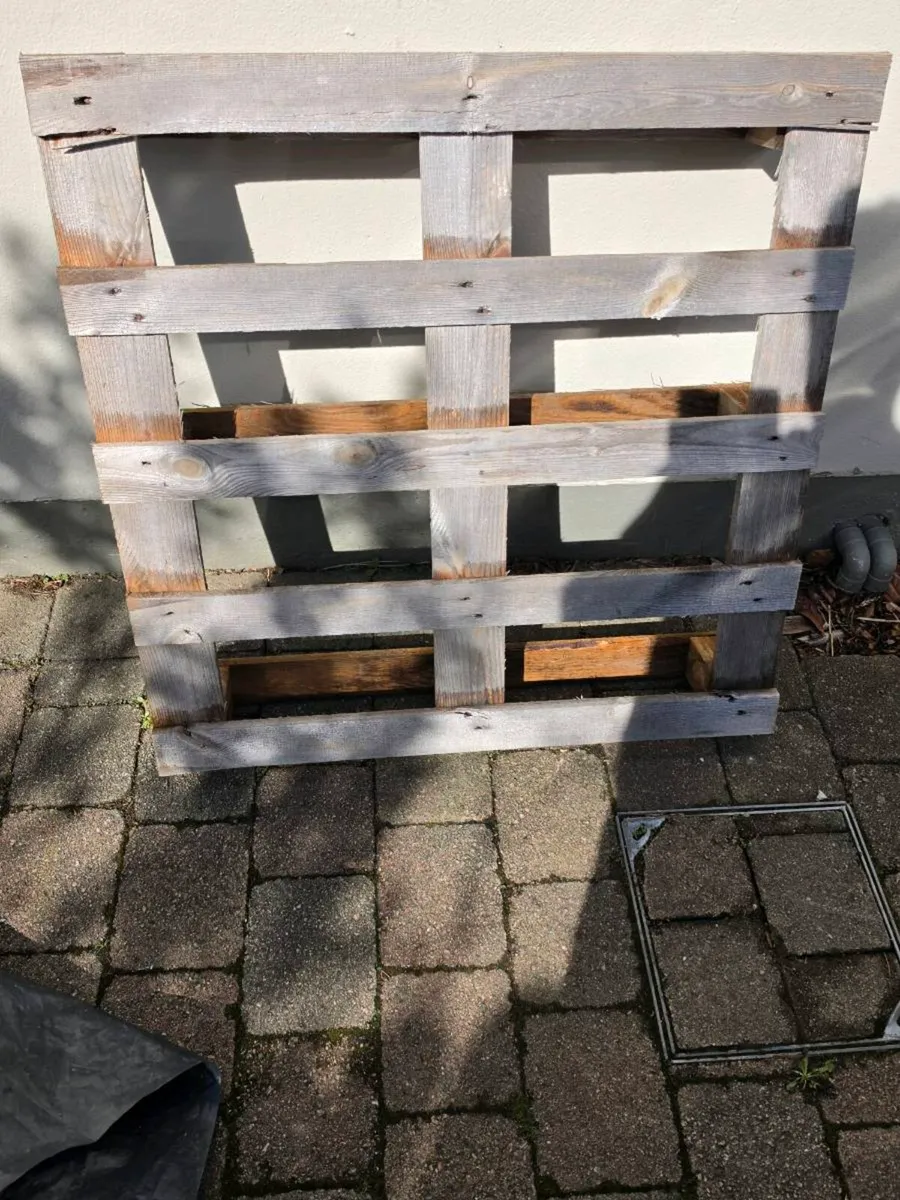 Timber pallets - Image 1