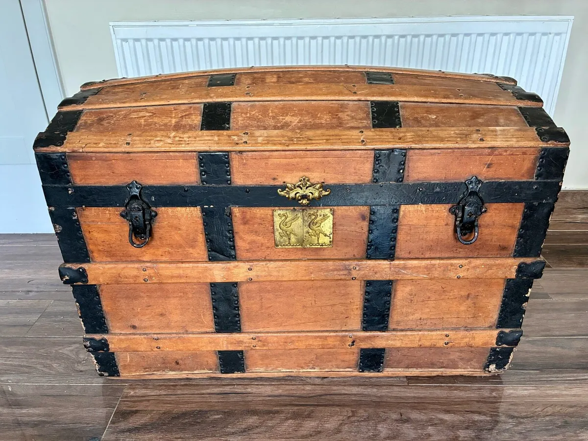 Antique 1890s steamer trunk Liver brass plates - Image 1