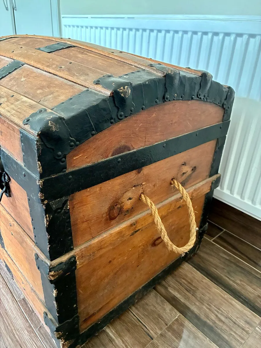 Antique 1890s steamer trunk Liver brass plates - Image 3