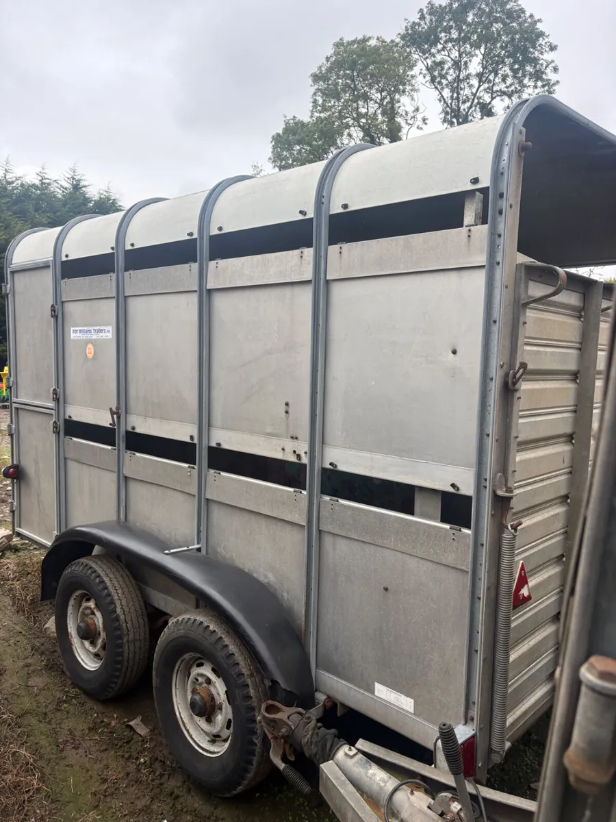 Ifor Williams 10x5 cattle trailer - Image 2