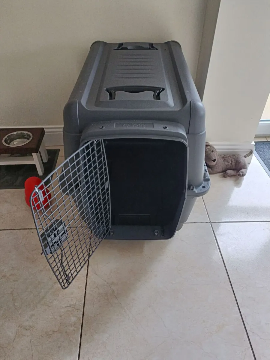 Large dog transport box - Image 1