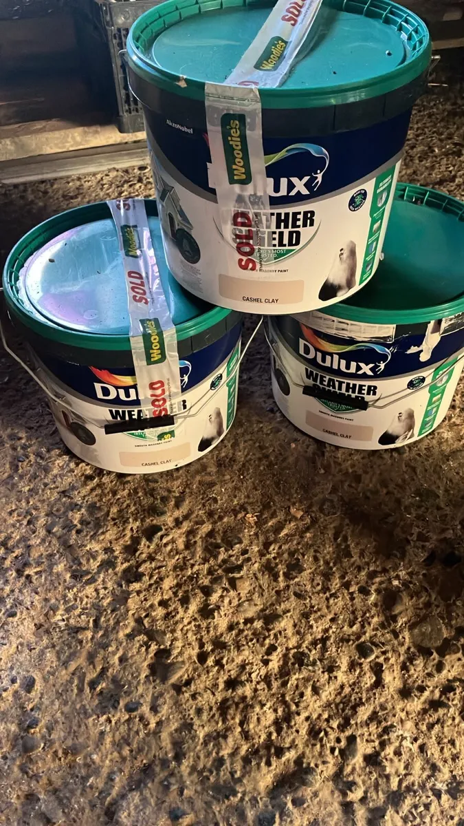 Dulux Weather Shield - Image 2