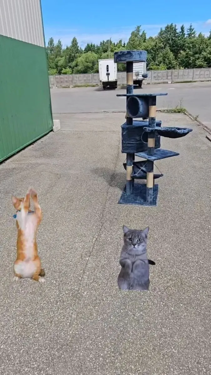 Cat scratcher cat tree brand new - Image 2