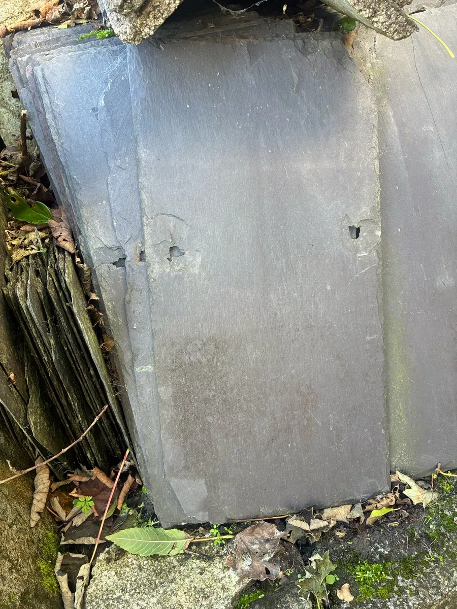100 old slates 10x20